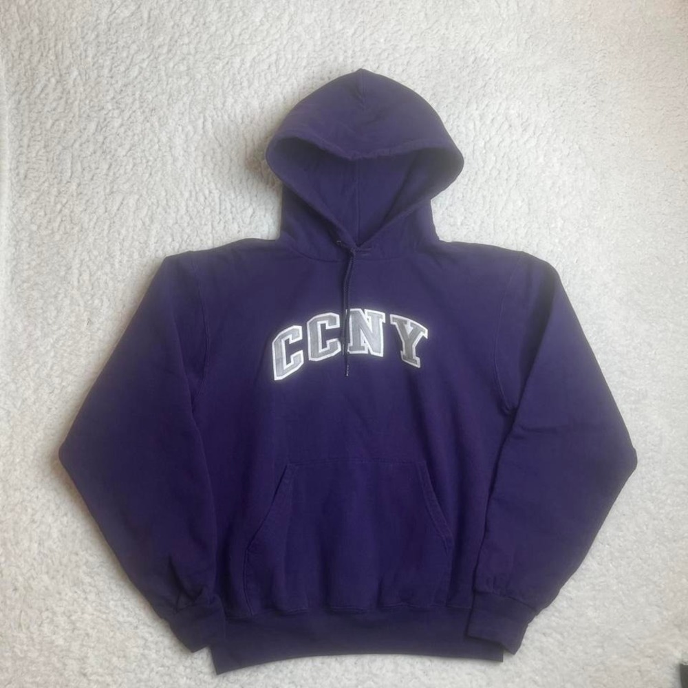 Y2K champion CCNY men's‎ navy blue hoodie embroidered collegiate S